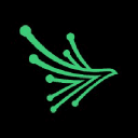 blackkite.com Logo