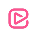 brandzooka.com Logo