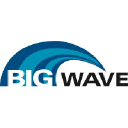 bigwavesoftware.com Logo
