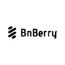 bnberry.com Logo
