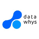 datawhys.ai Logo