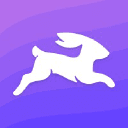 directus.io Logo