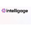 intelligage.io Logo