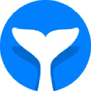 intempt.com Logo