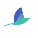 mocingbird.com Logo