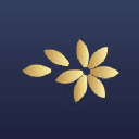 optimumfuturist.com Logo