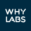 whylabs.ai Logo